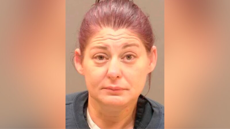 Officials say Michelle Karch, 40, has been charged with the death of two dogs at her home.